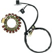 Stator stil OEM RICK'S MOTORSPORT ELECTRICS 21-900 Stator stil OEM RICK'S MOTORSPORT ELECTRICS 21-900 thumb