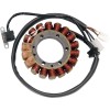 Stator stil OEM RICK'S MOTORSPORT ELECTRICS 21-913