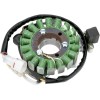 Stator stil OEM RICK'S MOTORSPORT ELECTRICS 21-908H