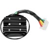 Regulator stil OEM RICK'S MOTORSPORT ELECTRICS 10-101