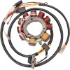 Stator OEM STYLE RICK'S MOTORSPORT ELECTRICS 21-551