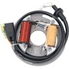 Stator stil OEM RICK'S MOTORSPORT ELECTRICS 21-705H
