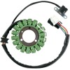 Stator stil OEM RICK'S MOTORSPORT ELECTRICS 21-905