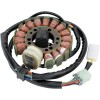 Stator stil OEM RICK'S MOTORSPORT ELECTRICS 21-916