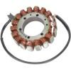 Stator stil OEM RICK'S MOTORSPORT ELECTRICS 21-003