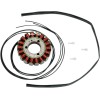 Stator stil OEM RICK'S MOTORSPORT ELECTRICS 21-309