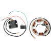 Set de încărcare RICK'S MOTORSPORT ELECTRICS 99-101
