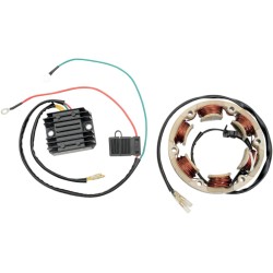 Set de încărcare RICK'S MOTORSPORT ELECTRICS 99-101 Set de încărcare RICK'S MOTORSPORT ELECTRICS 99-101