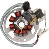Stator stil OEM RICK'S MOTORSPORT ELECTRICS 21-550