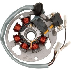 Stator stil OEM RICK'S MOTORSPORT ELECTRICS 21-550 Stator stil OEM RICK'S MOTORSPORT ELECTRICS 21-550