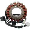Stator HOT SHOT RICK'S MOTORSPORT ELECTRICS 21-311H Stator HOT SHOT RICK'S MOTORSPORT ELECTRICS 21-311H thumb