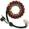 Stator HOT SHOT RICK'S MOTORSPORT ELECTRICS 21-312H