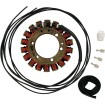Stator OEM STYLE RICK'S MOTORSPORT ELECTRICS 21-415 Stator OEM STYLE RICK'S MOTORSPORT ELECTRICS 21-415 thumb