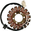 Stator OEM stil RICK'S MOTORSPORT ELECTRICS 21-314 thumb