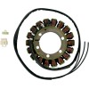 Stator stil OEM RICK'S MOTORSPORT ELECTRICS 21-316
