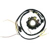 Stator stil OEM RICK'S MOTORSPORT ELECTRICS 21-553