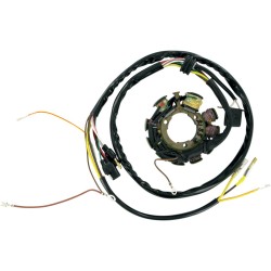 Stator stil OEM RICK'S MOTORSPORT ELECTRICS 21-553 Stator stil OEM RICK'S MOTORSPORT ELECTRICS 21-553