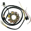 Stator stil OEM RICK'S MOTORSPORT ELECTRICS 21-555