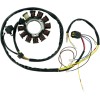 Stator OEM STYLE RICK'S MOTORSPORT ELECTRICS 21-556