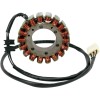 Stator stil OEM RICK'S MOTORSPORT ELECTRICS 21-138