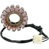 Stator stil OEM RICK'S MOTORSPORT ELECTRICS 21-231