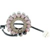 Stator stil OEM RICK'S MOTORSPORT ELECTRICS 21-232