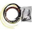 Stator stil OEM RICK'S MOTORSPORT ELECTRICS 21-100 Stator stil OEM RICK'S MOTORSPORT ELECTRICS 21-100 thumb