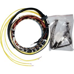 Stator stil OEM RICK'S MOTORSPORT ELECTRICS 21-100