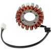 Stator stil OEM RICK'S MOTORSPORT ELECTRICS 21-227
