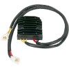Redresor-regulator HOT SHOT RICK'S MOTORSPORT ELECTRICS 10-008H