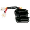 Regulator de tensiune HOT SHOT RICK'S MOTORSPORT ELECTRICS 10-219H