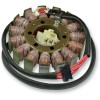 Stator stil OEM RICK'S MOTORSPORT ELECTRICS 21-229