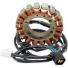 Stator HOT SHOT RICK'S MOTORSPORT ELECTRICS 21-807H