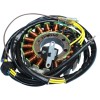 Stator stil OEM RICK'S MOTORSPORT ELECTRICS 21-560