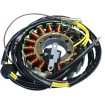 Stator stil OEM RICK'S MOTORSPORT ELECTRICS 21-560 Stator stil OEM RICK'S MOTORSPORT ELECTRICS 21-560 thumb
