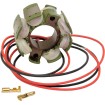 Stator stil OEM RICK'S MOTORSPORT ELECTRICS 21-811 Stator stil OEM RICK'S MOTORSPORT ELECTRICS 21-811 thumb