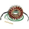Stator stil OEM RICK'S MOTORSPORT ELECTRICS 21-W102