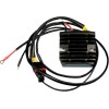 Regulator de tensiune HOT SHOT RICK'S MOTORSPORT ELECTRICS 10-559H