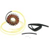 Stator stil OEM RICK'S MOTORSPORT ELECTRICS 21-056