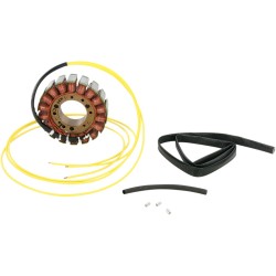 Stator stil OEM RICK'S MOTORSPORT ELECTRICS 21-056