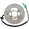 Stator stil OEM RICK'S MOTORSPORT ELECTRICS 21-926