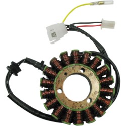 Stator OEM stil RICK'S MOTORSPORT ELECTRICS 21-0096