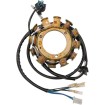 Stator HOT SHOT RICK'S MOTORSPORT ELECTRICS 21-647H Stator HOT SHOT RICK'S MOTORSPORT ELECTRICS 21-647H thumb