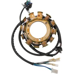 Stator HOT SHOT RICK'S MOTORSPORT ELECTRICS 21-647H Stator HOT SHOT RICK'S MOTORSPORT ELECTRICS 21-647H