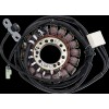 Stator în stil OE TRIUMPH RICK'S MOTORSPORT ELECTRICS 21-029