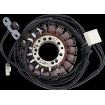 Stator în stil OE TRIUMPH RICK'S MOTORSPORT ELECTRICS 21-029 Stator în stil OE TRIUMPH RICK'S MOTORSPORT ELECTRICS 21-029 thumb