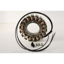 Stator în stil OE TGB RICK'S MOTORSPORT ELECTRICS 21-066 Stator în stil OE TGB RICK'S MOTORSPORT ELECTRICS 21-066