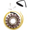 Stator în stil OE HONDA RICK'S MOTORSPORT ELECTRICS 21-153 Stator în stil OE HONDA RICK'S MOTORSPORT ELECTRICS 21-153 thumb