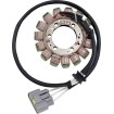 Stator original KAW RICK'S MOTORSPORT ELECTRICS 21-243 thumb