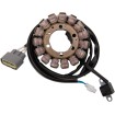 Stator stil OEM YAM RICK'S MOTORSPORT ELECTRICS 21-922 thumb